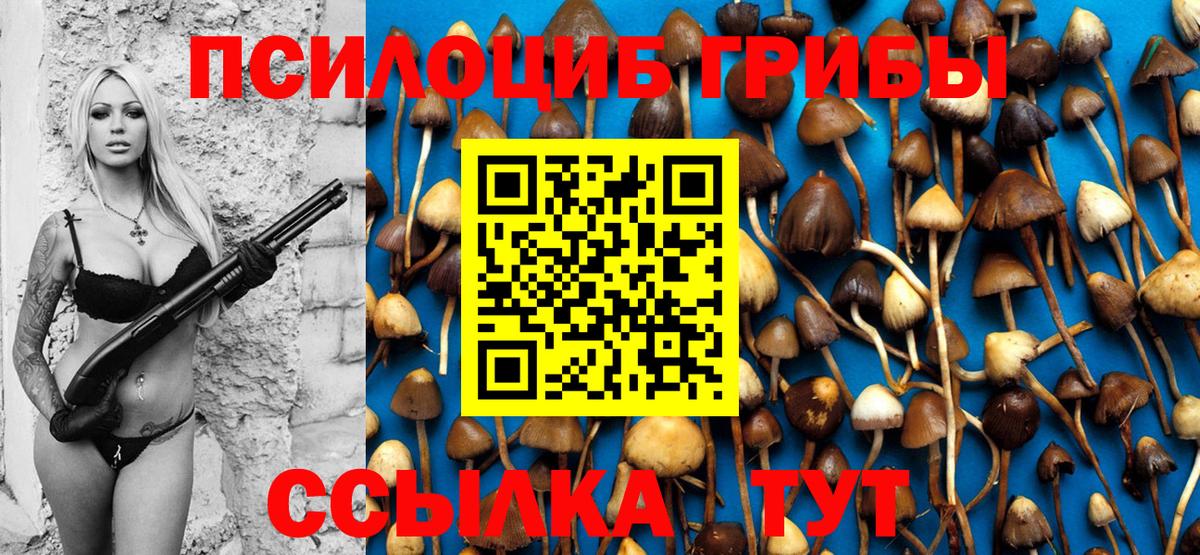 Галлюциногенные грибы GOLDEN TEACHER  Вход с VPN  Мелеуз 